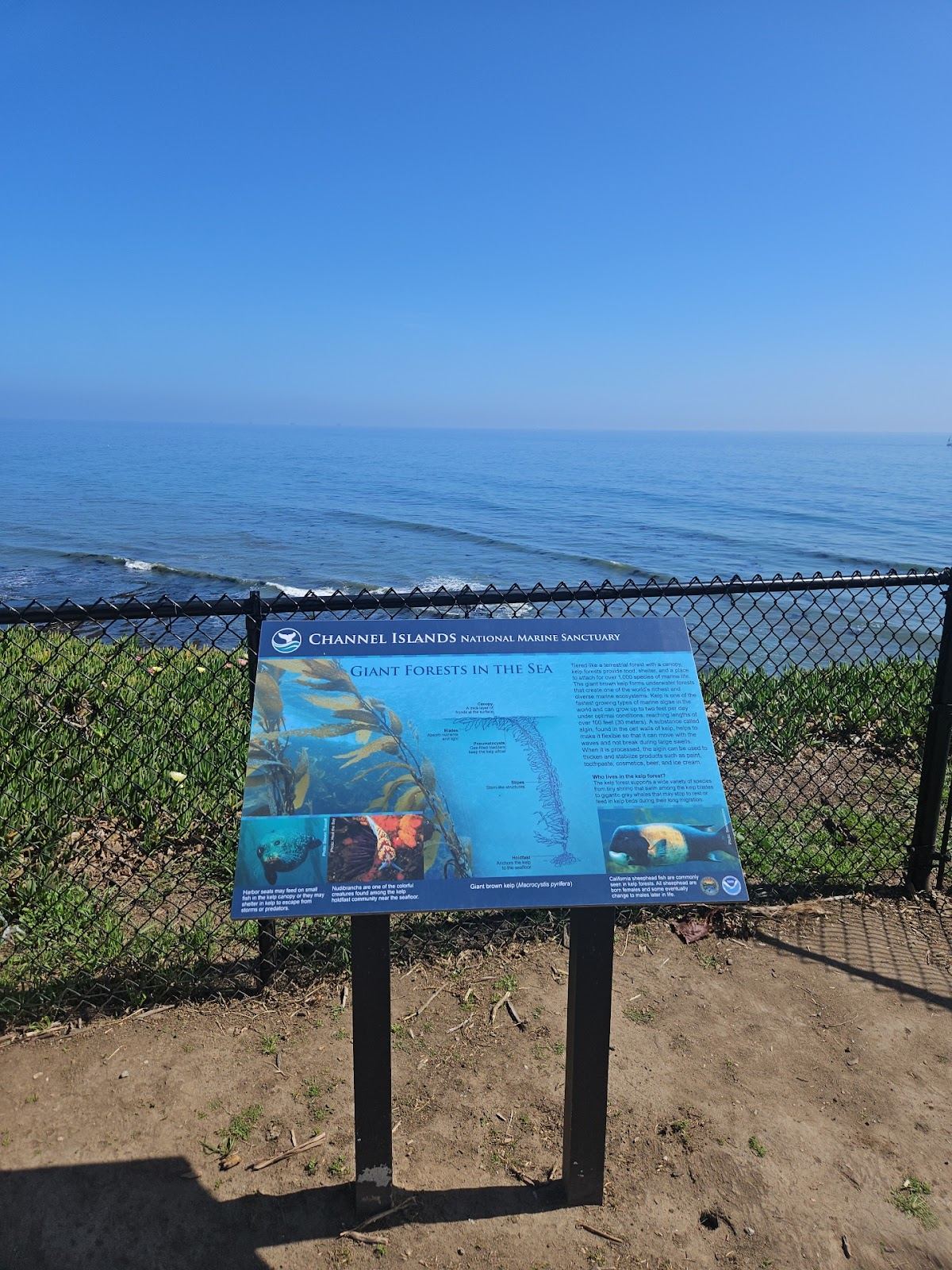 Channel Islands viewpoint