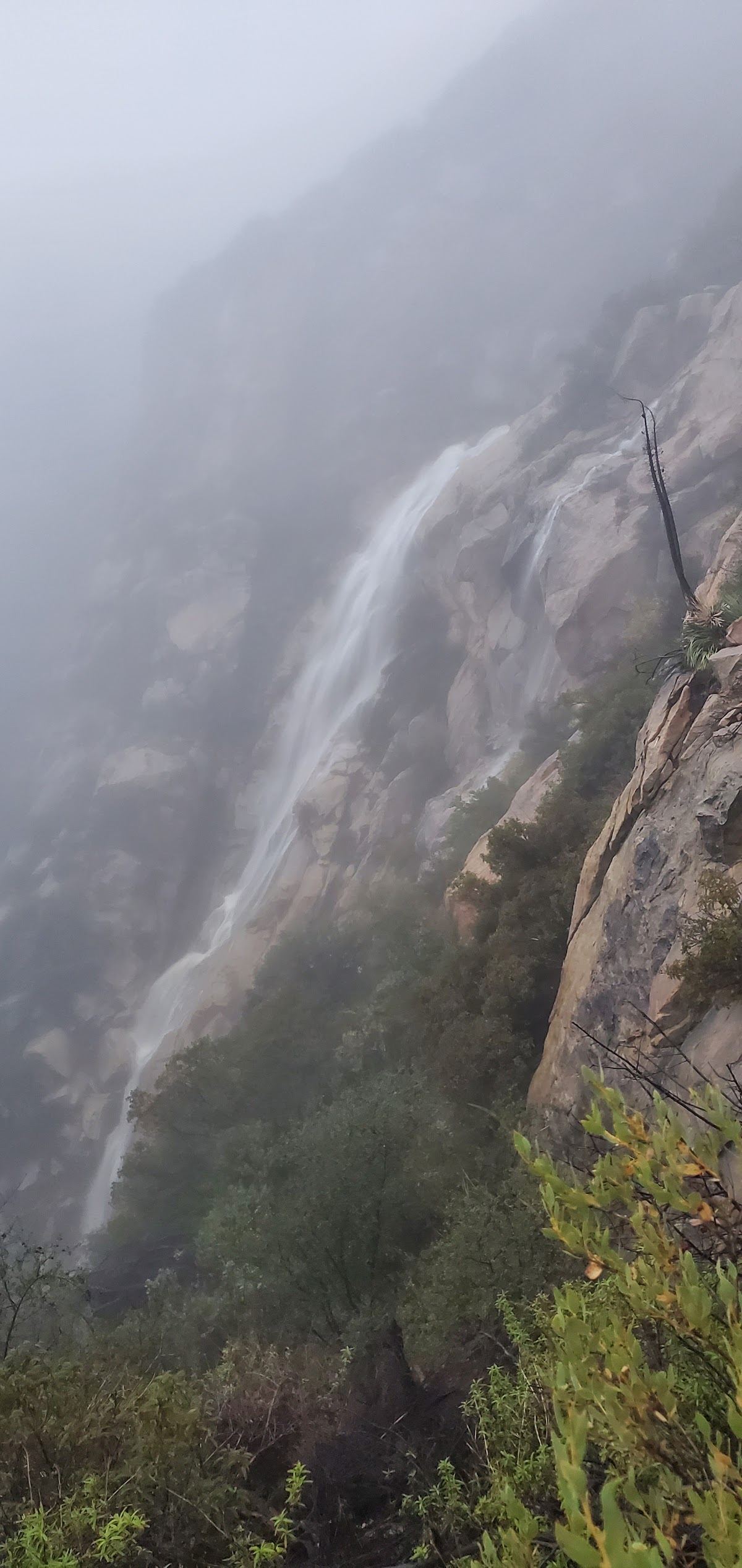Falls
