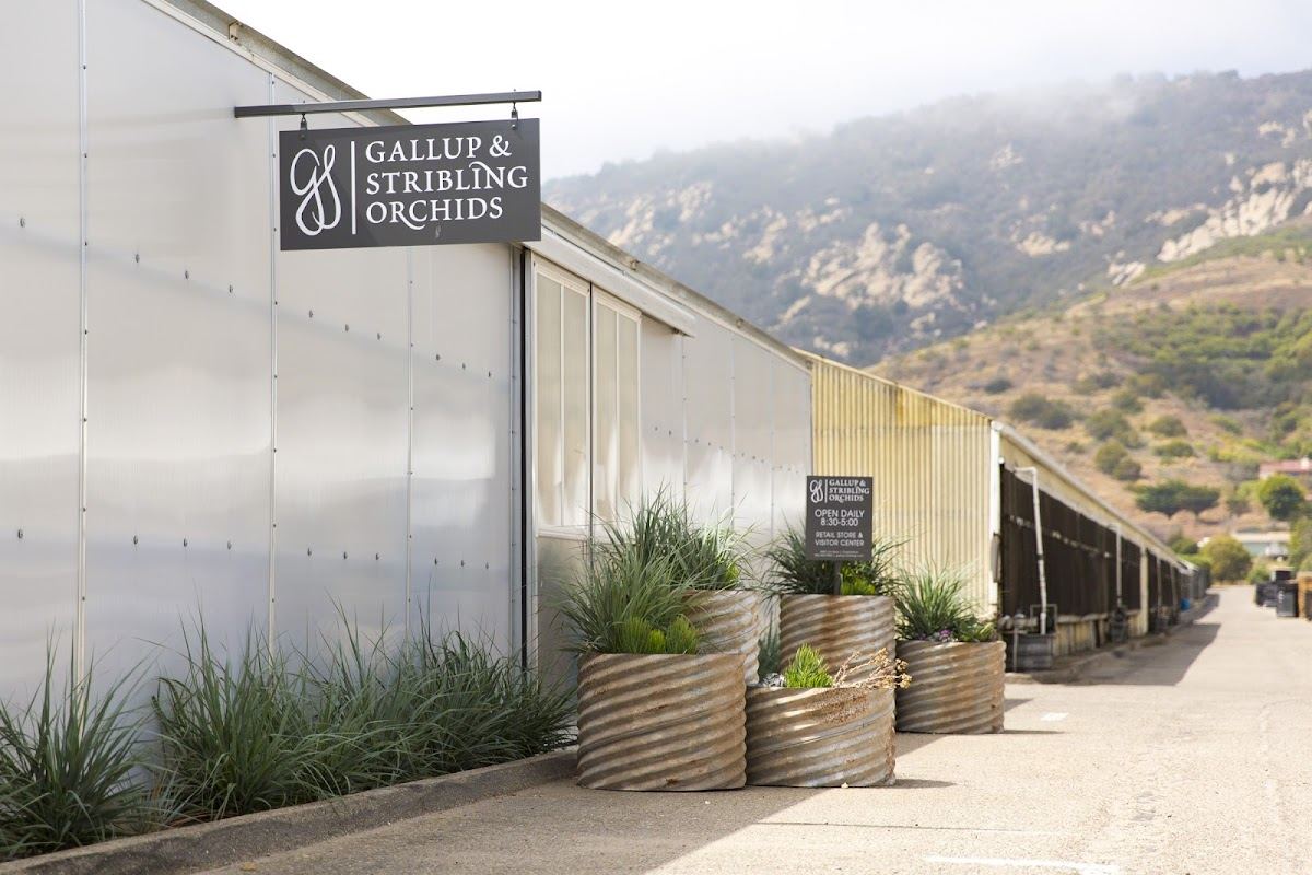 Gallup & Stribling Orchids