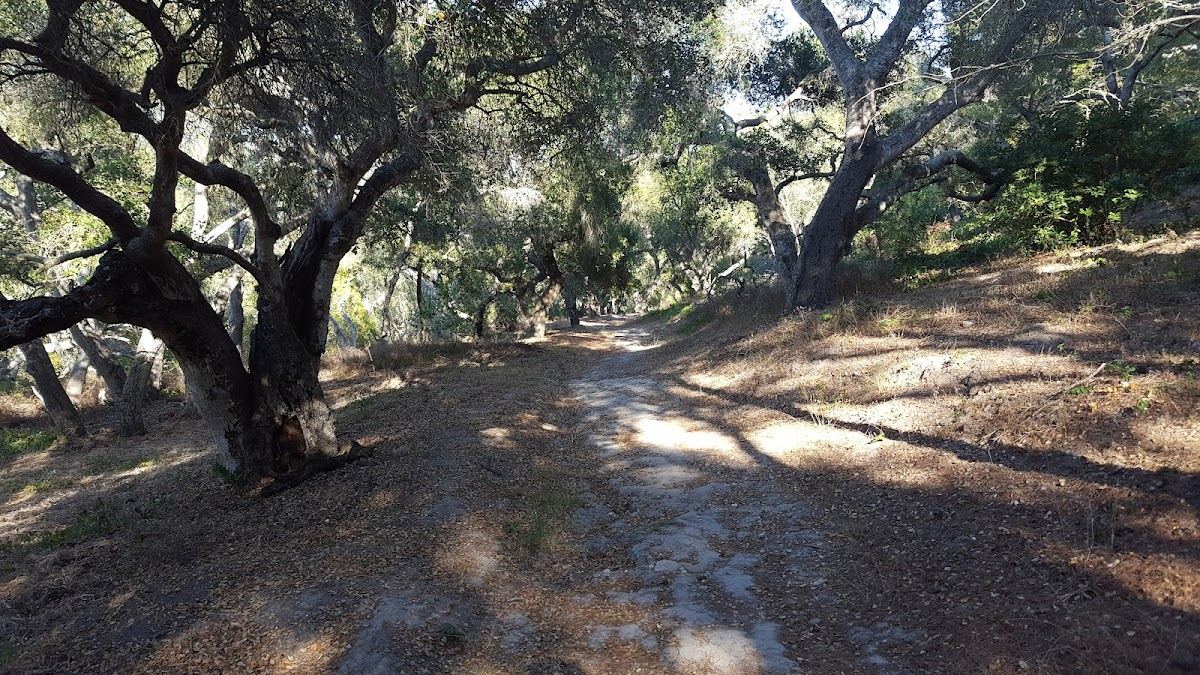 Hale Park