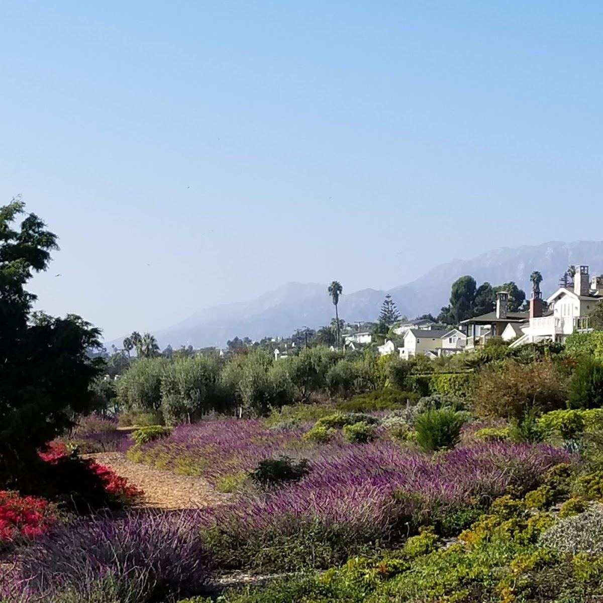 Oceanview Park