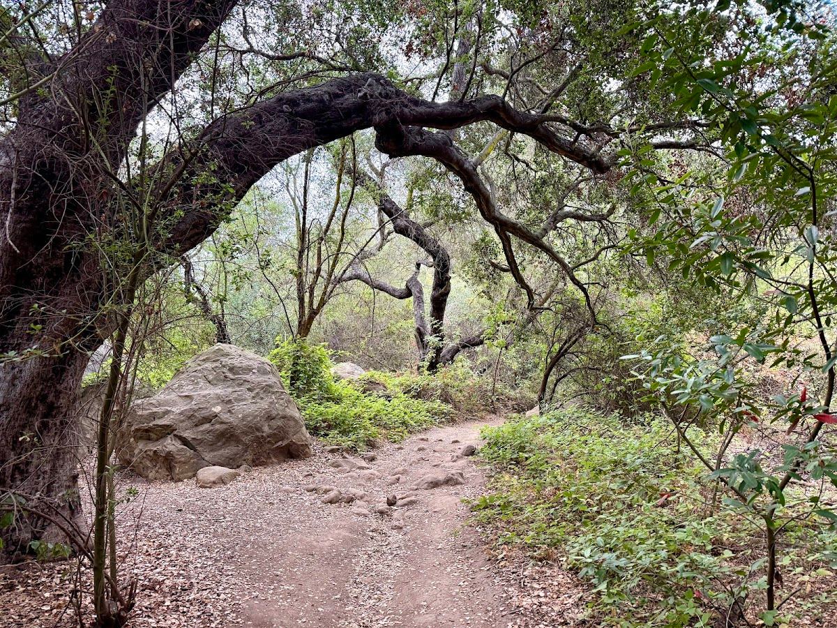 San Antonio Canyon Park