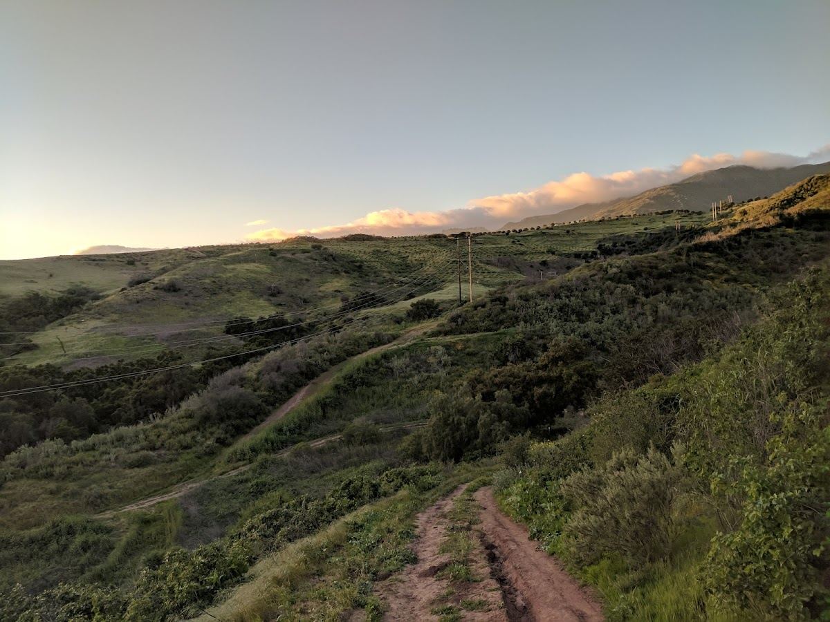 San Marcos Foothills Preserve