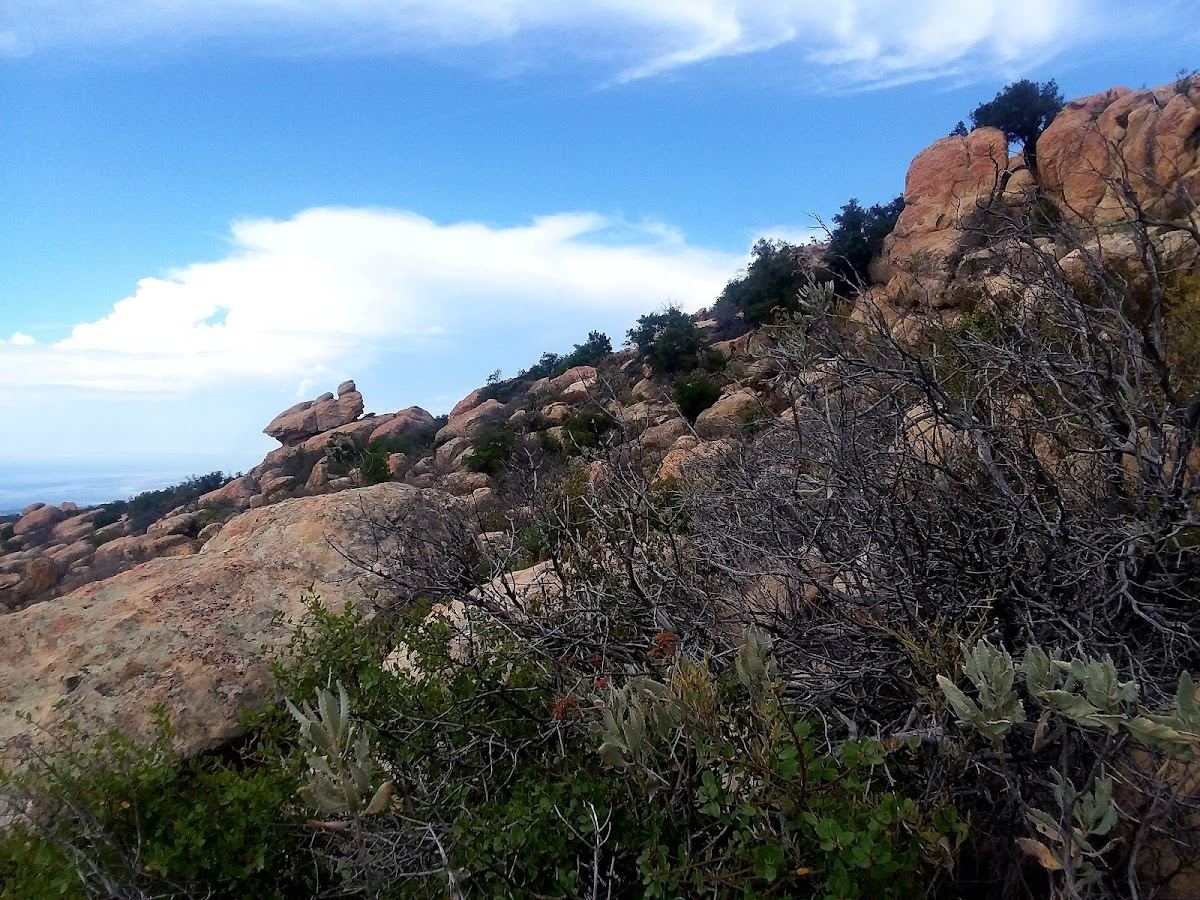 Trail Head for the Playgrounds