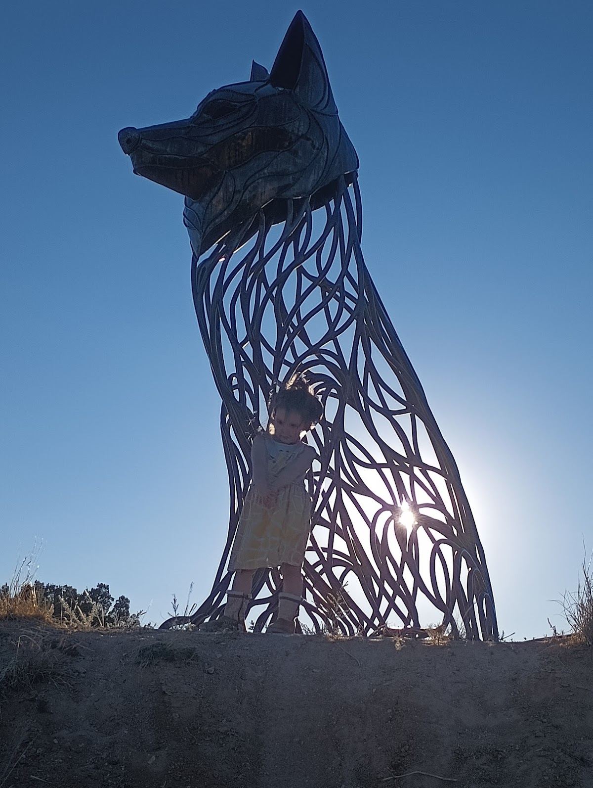 Coyote Song