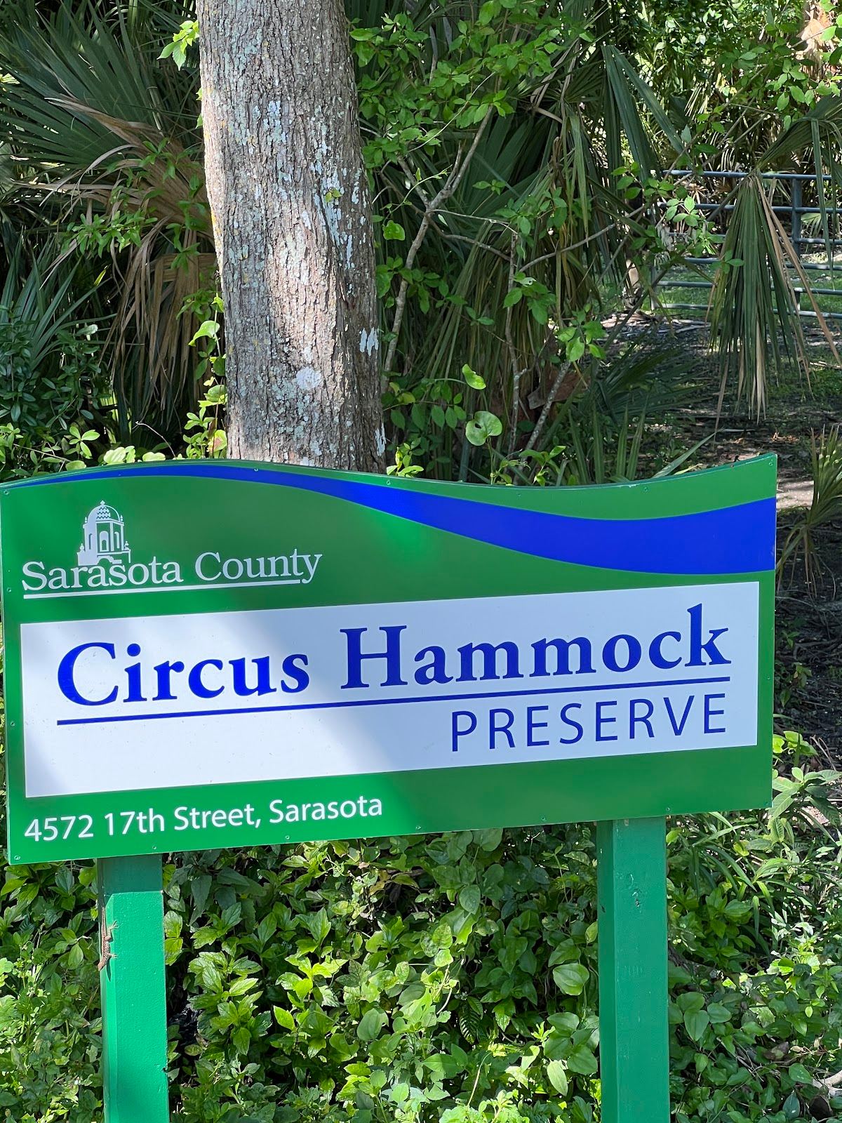 Circus Hammock
