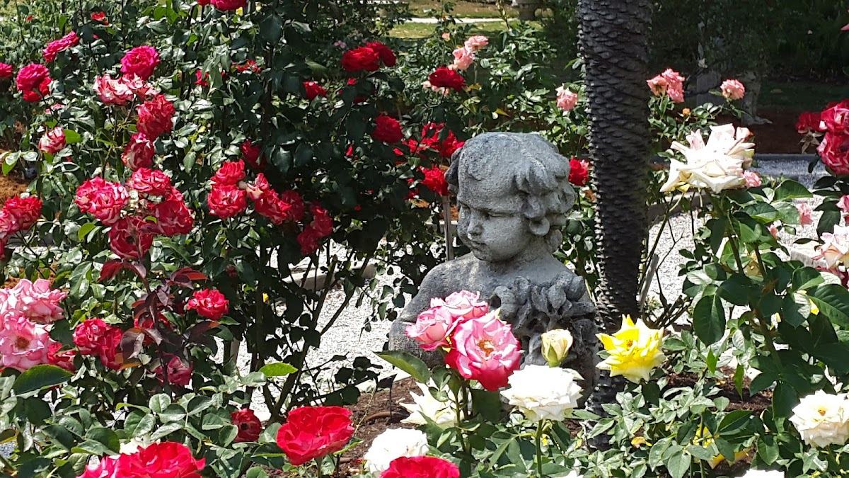 Mable Ringling Rose Garden at The Ringling