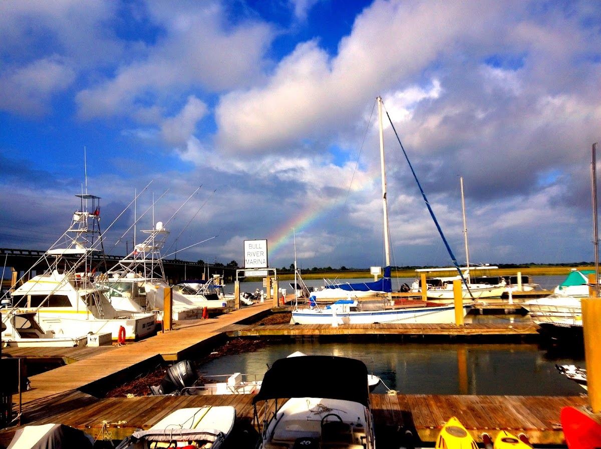 Bull River Marina - Private Charters, Fishing Charters, Bait Shop, Eco and Dolphin Tours