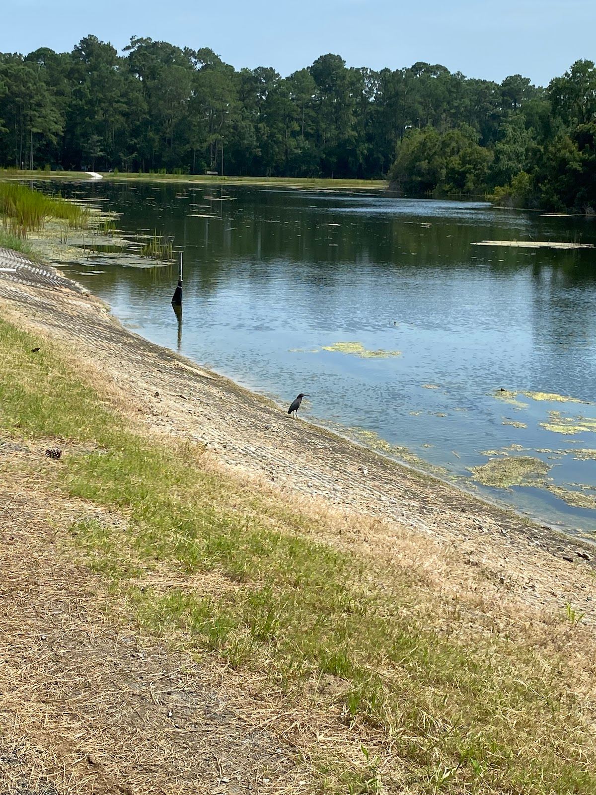 Joseph Tribble Park