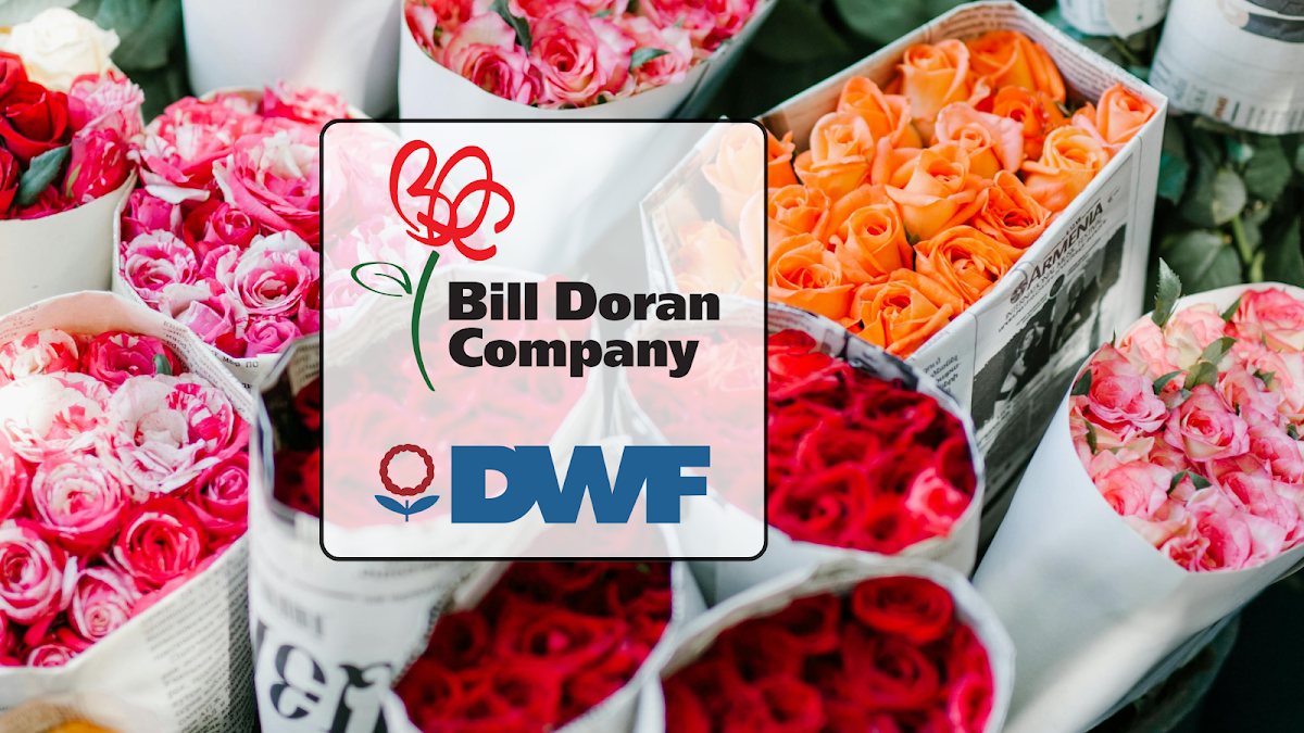 Bill Doran Company (formerly DWF)