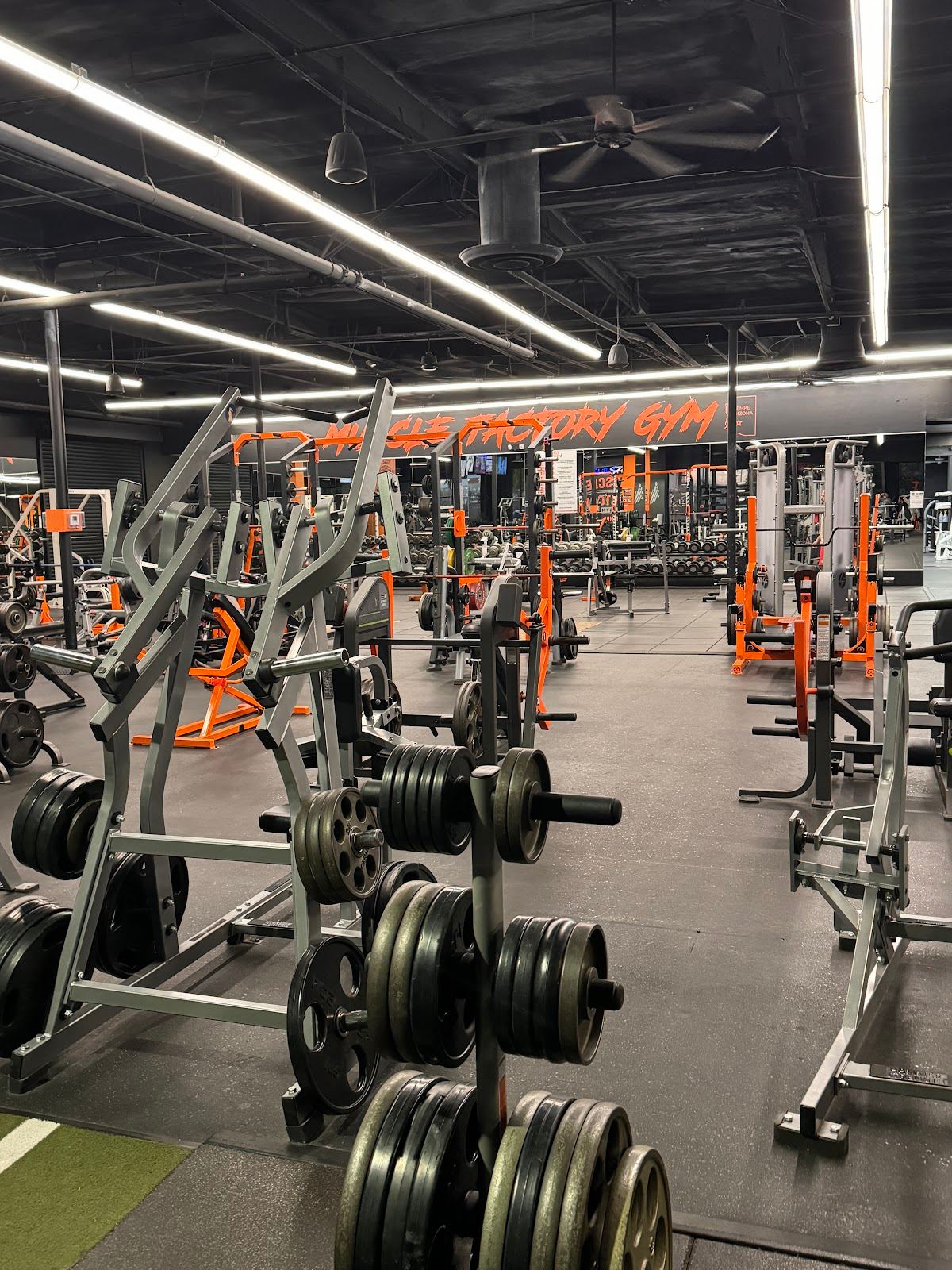 Muscle Factory Gym