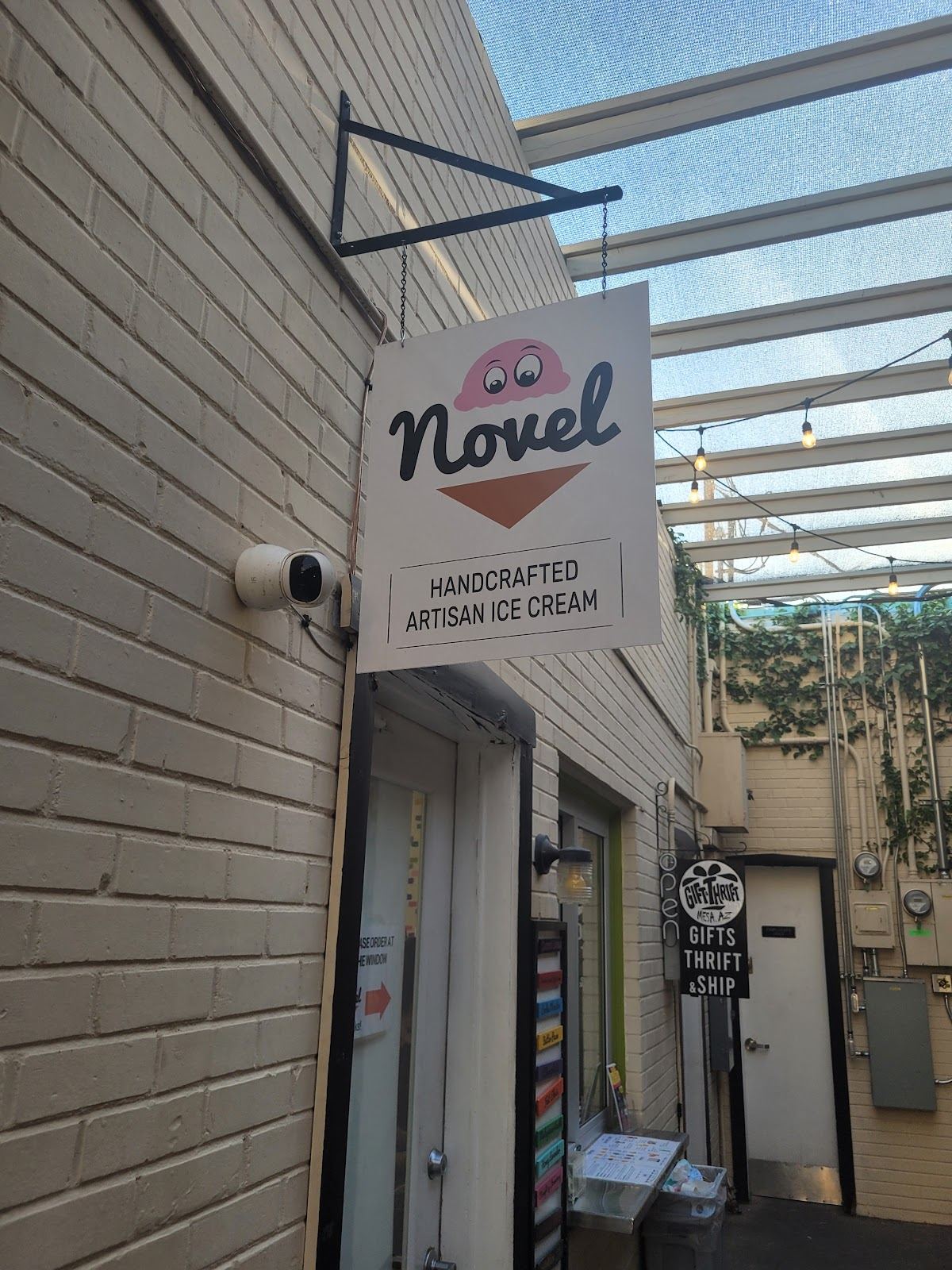 Novel Ice Cream