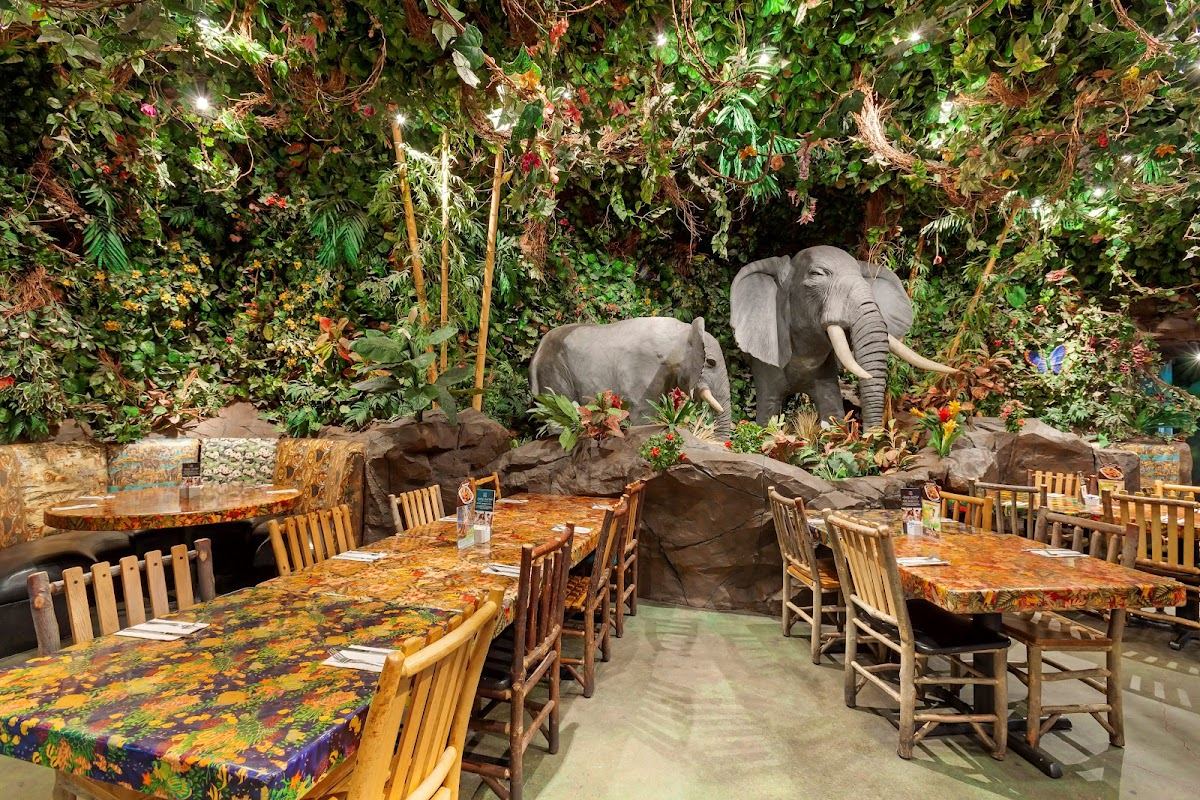 Rainforest Cafe