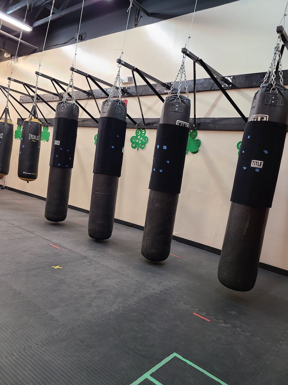 Rock Steady Boxing Mesa