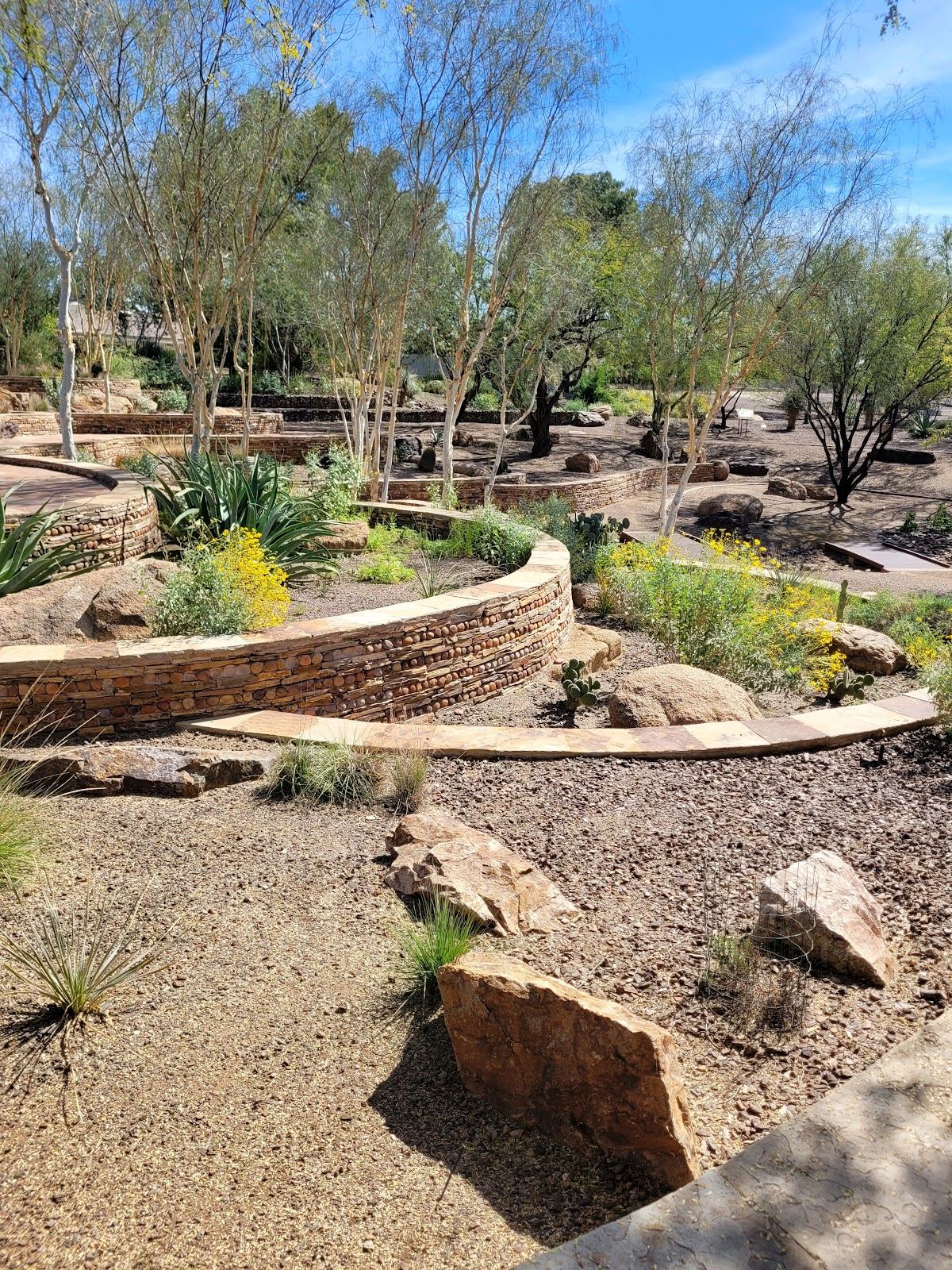 Scottsdale Xeriscape Garden