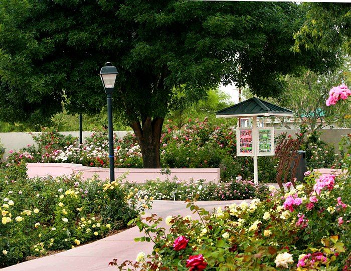 The Rose Garden At MCC