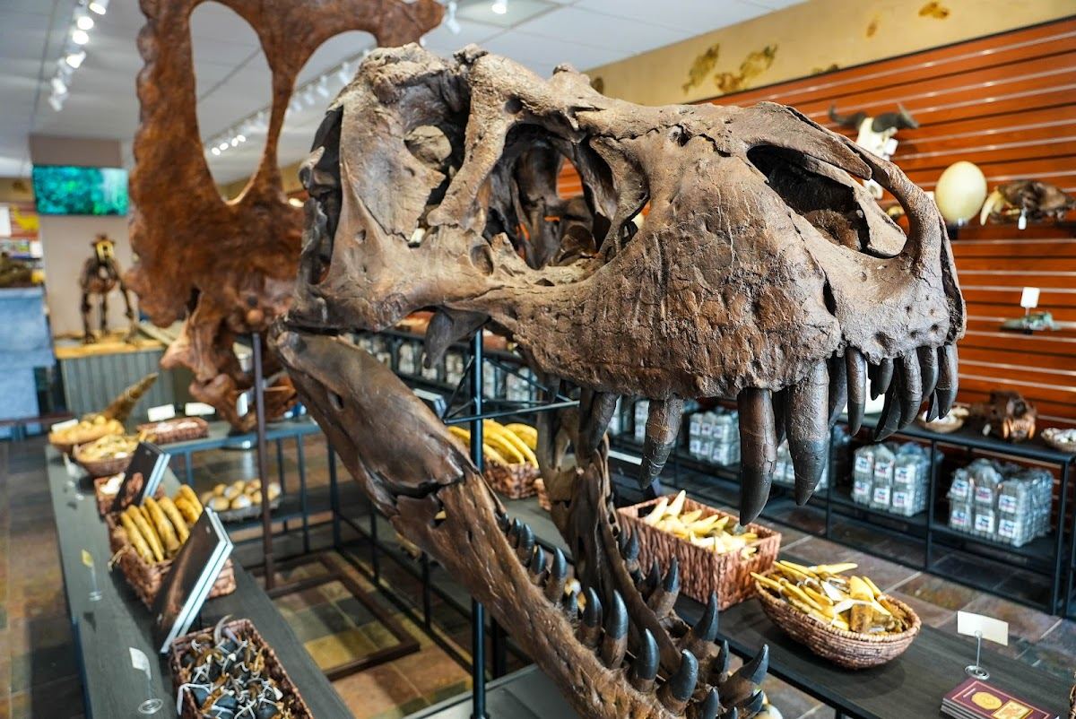 Tyrannostorus