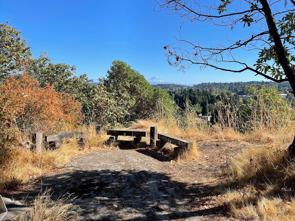 Duwamish Hill Preserve