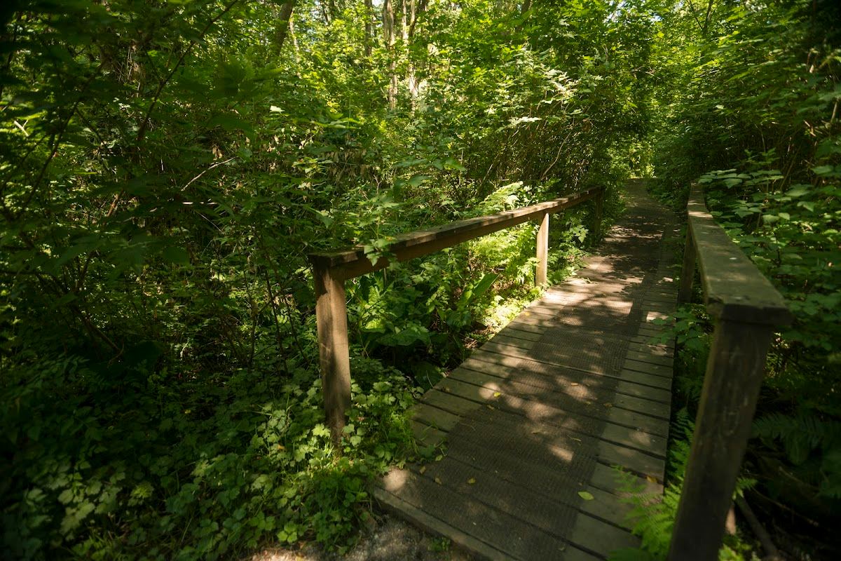 Fauntleroy Park