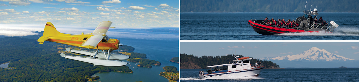 Fly 2 Whales - Seattle Whale Watching Flight Package