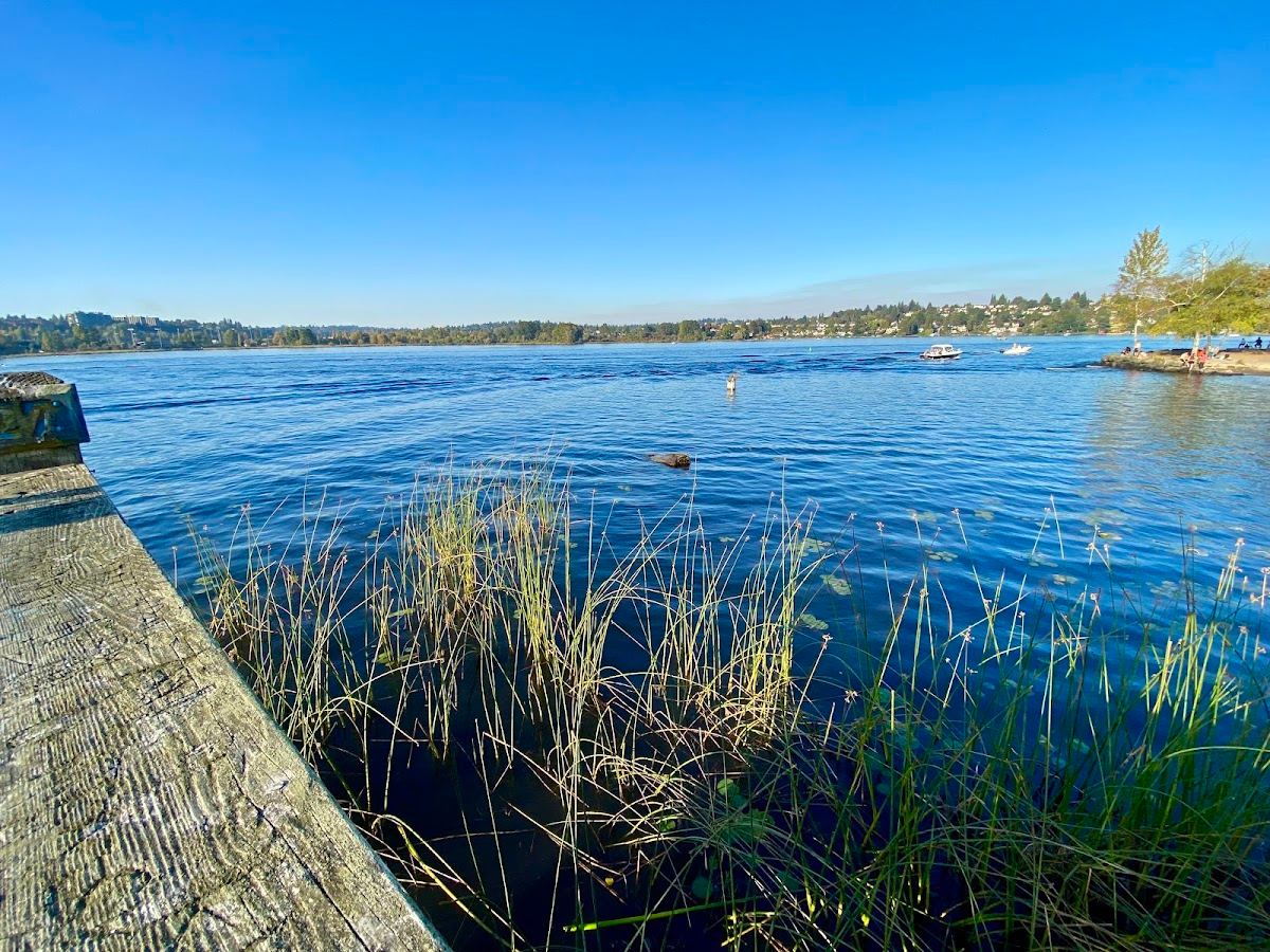 Foster Point Trail