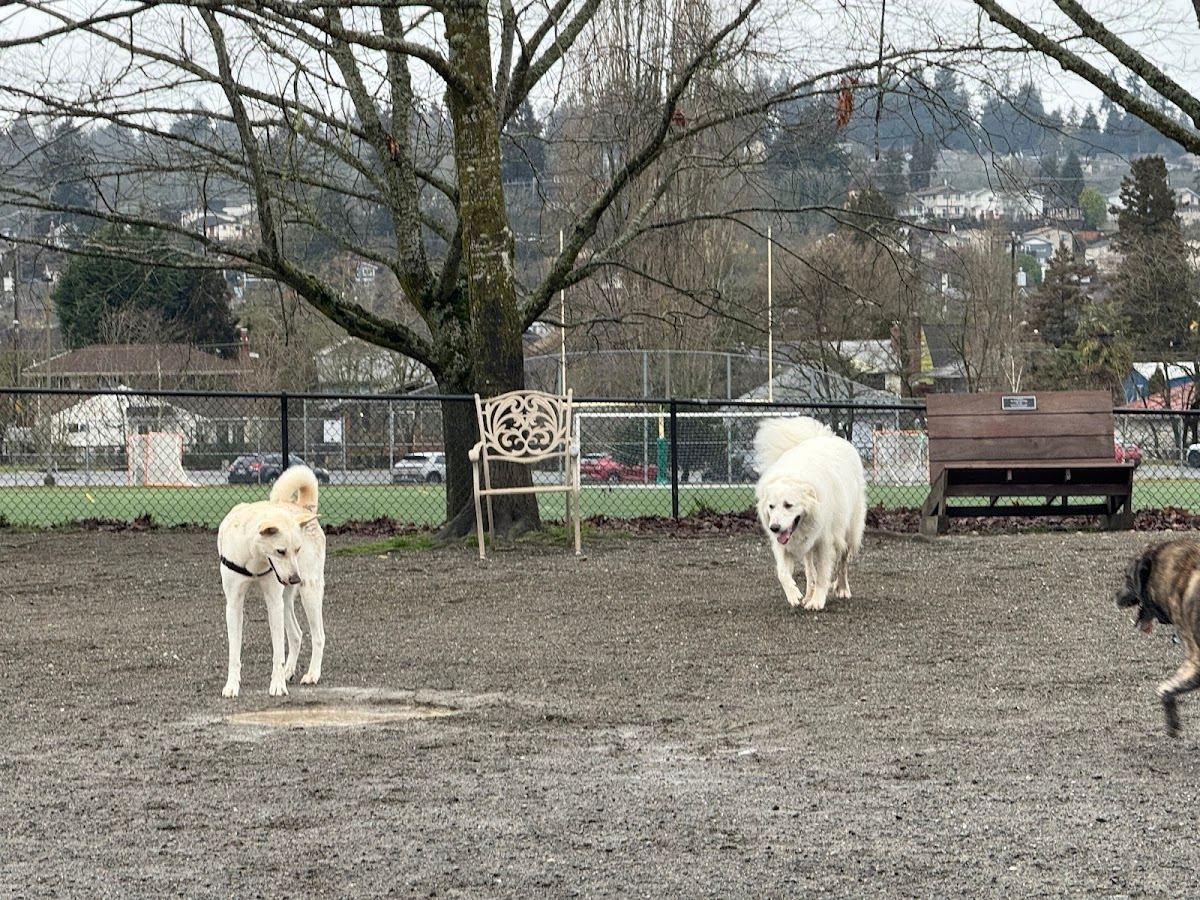 Genesee Dog Park