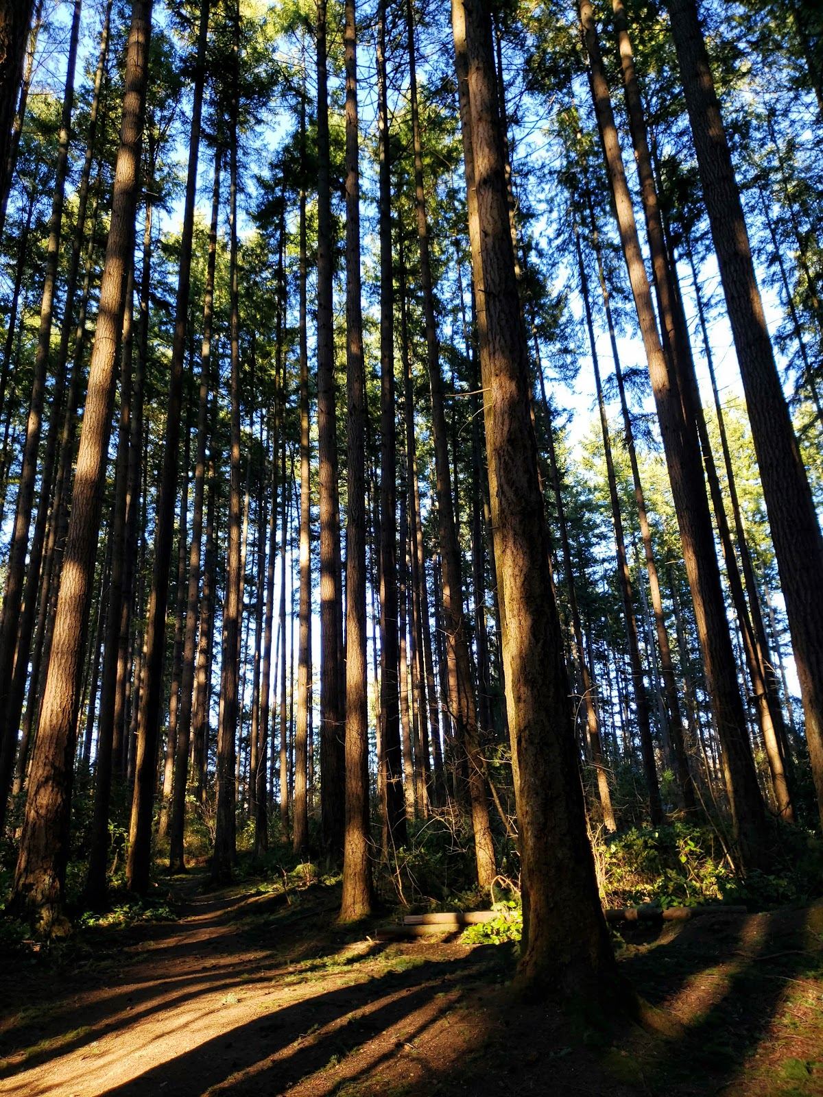 Juanita Woodlands Park