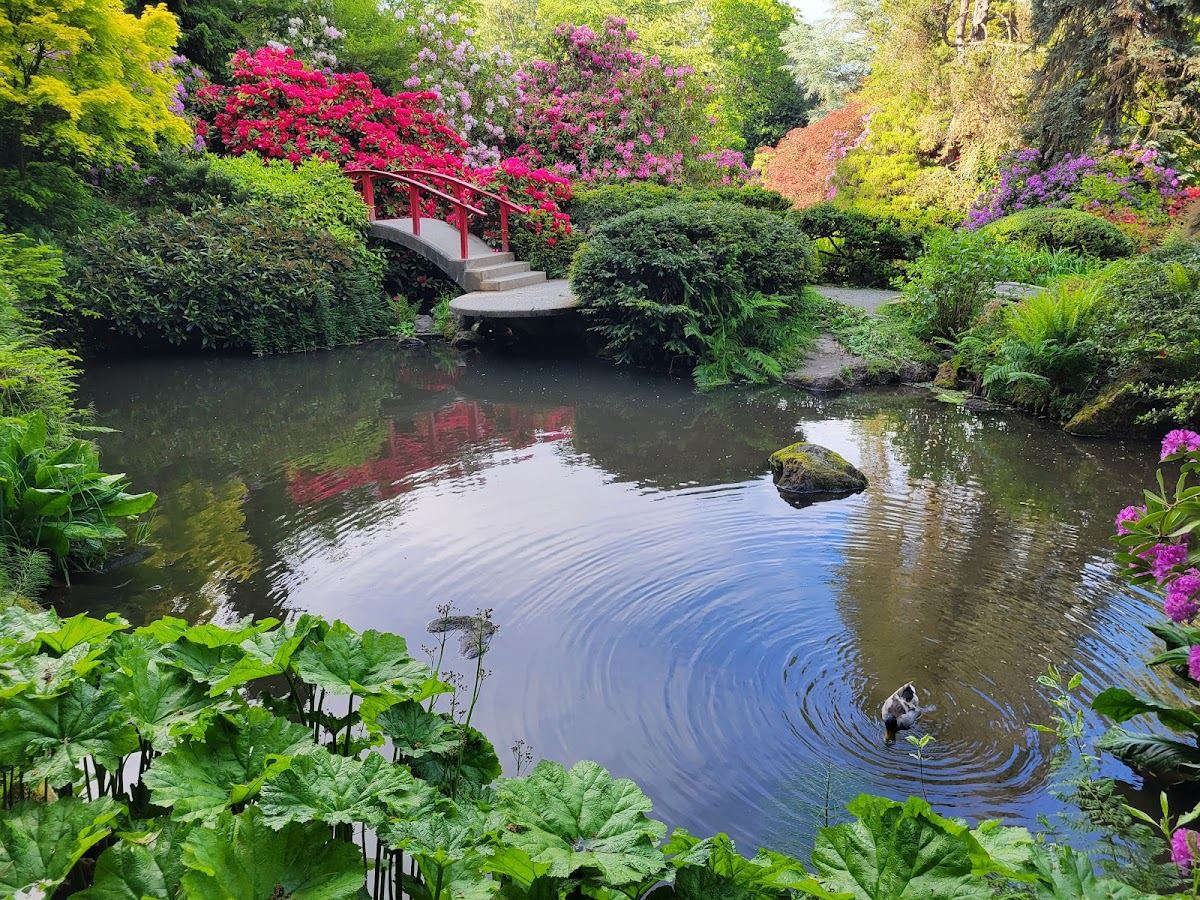 Kubota Garden