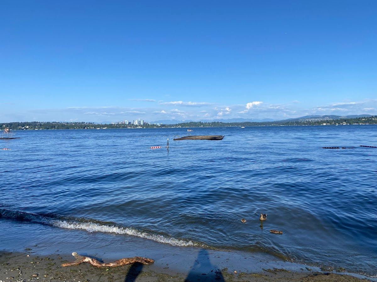 Madrona Park Beach