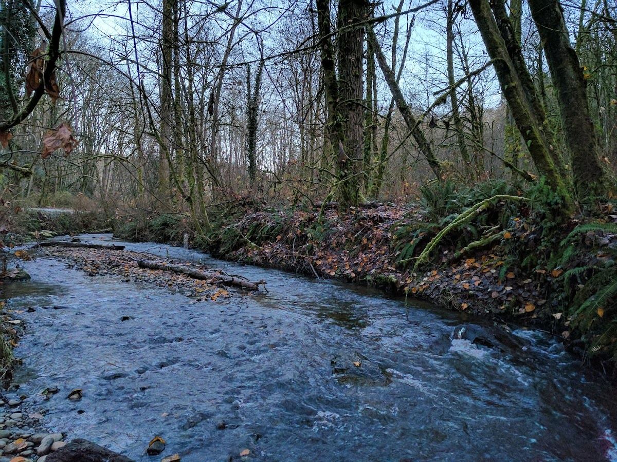 May Creek Park