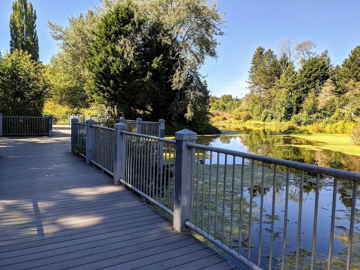 Meadowbrook Pond