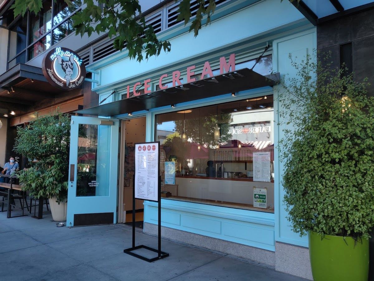 Molly Moon's Homemade Ice Cream