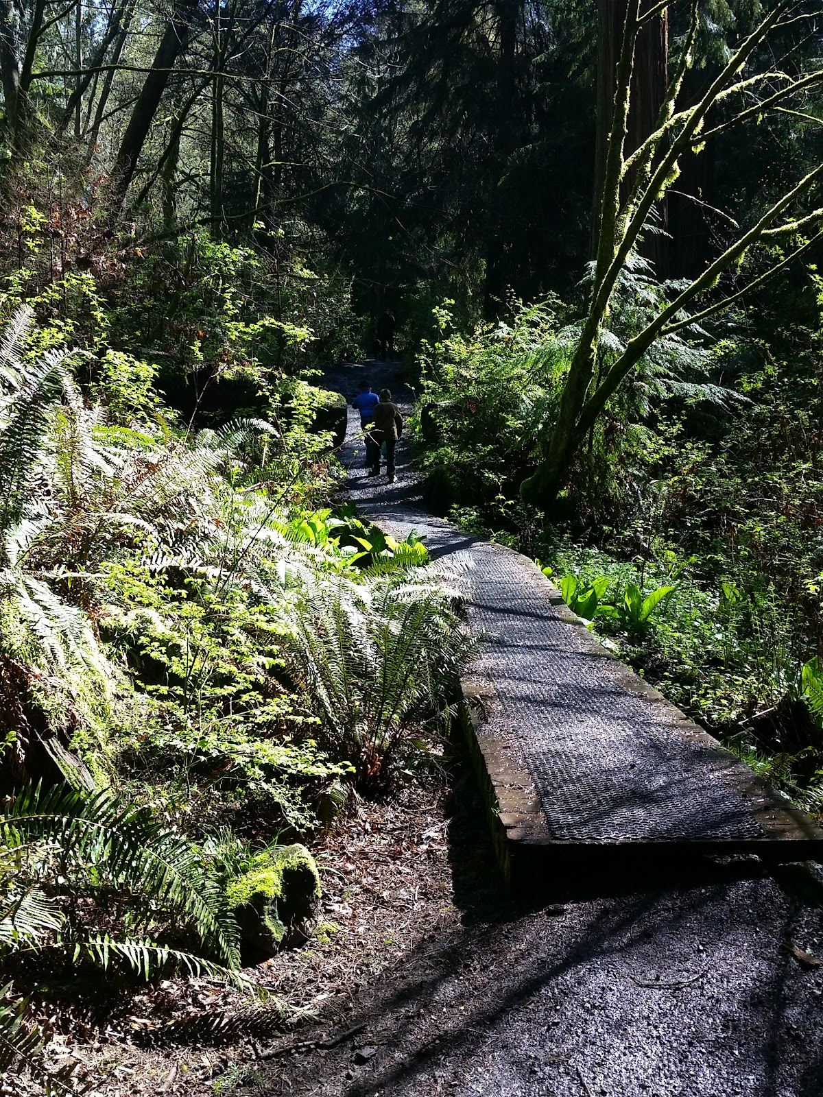 Schmitz Preserve Park