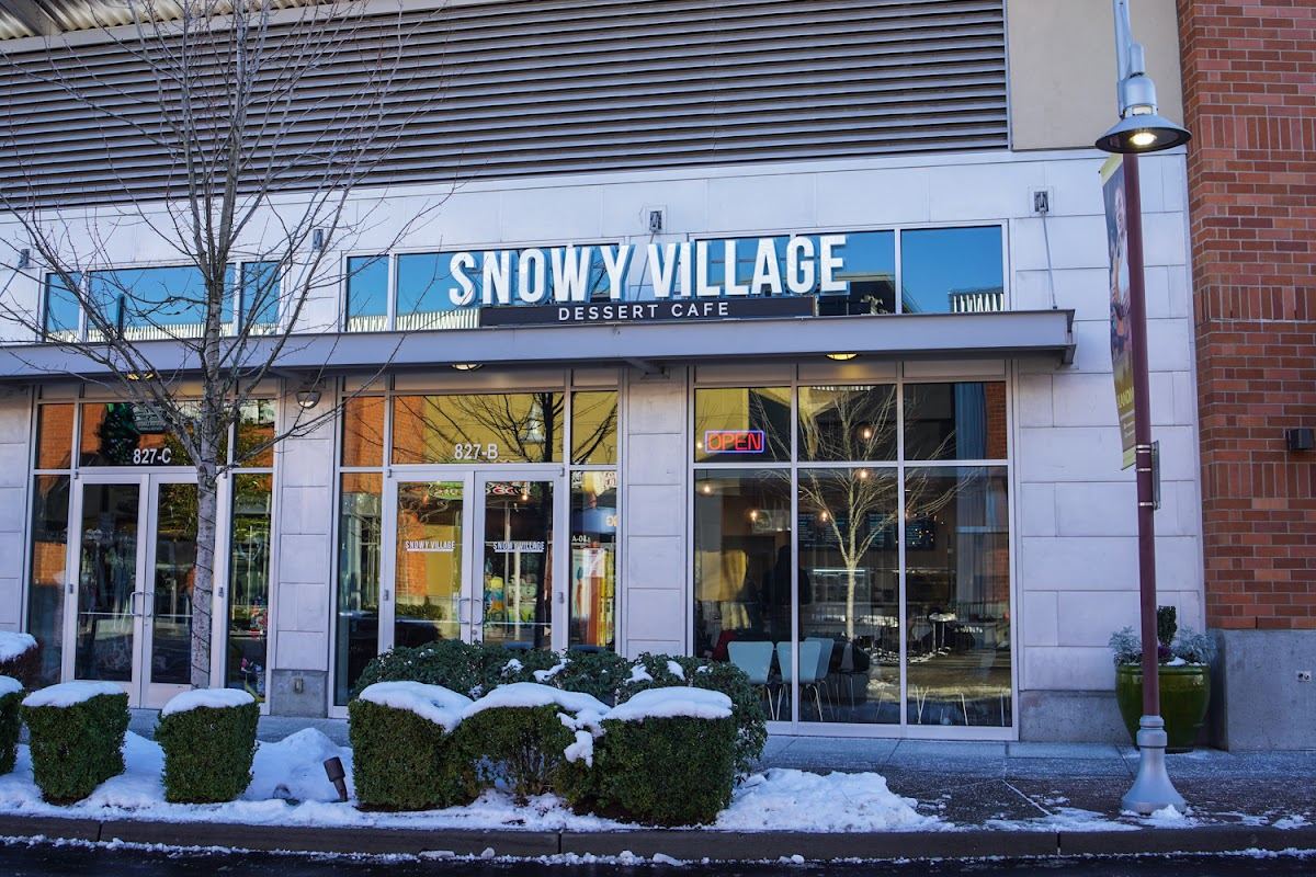 Snowy Village