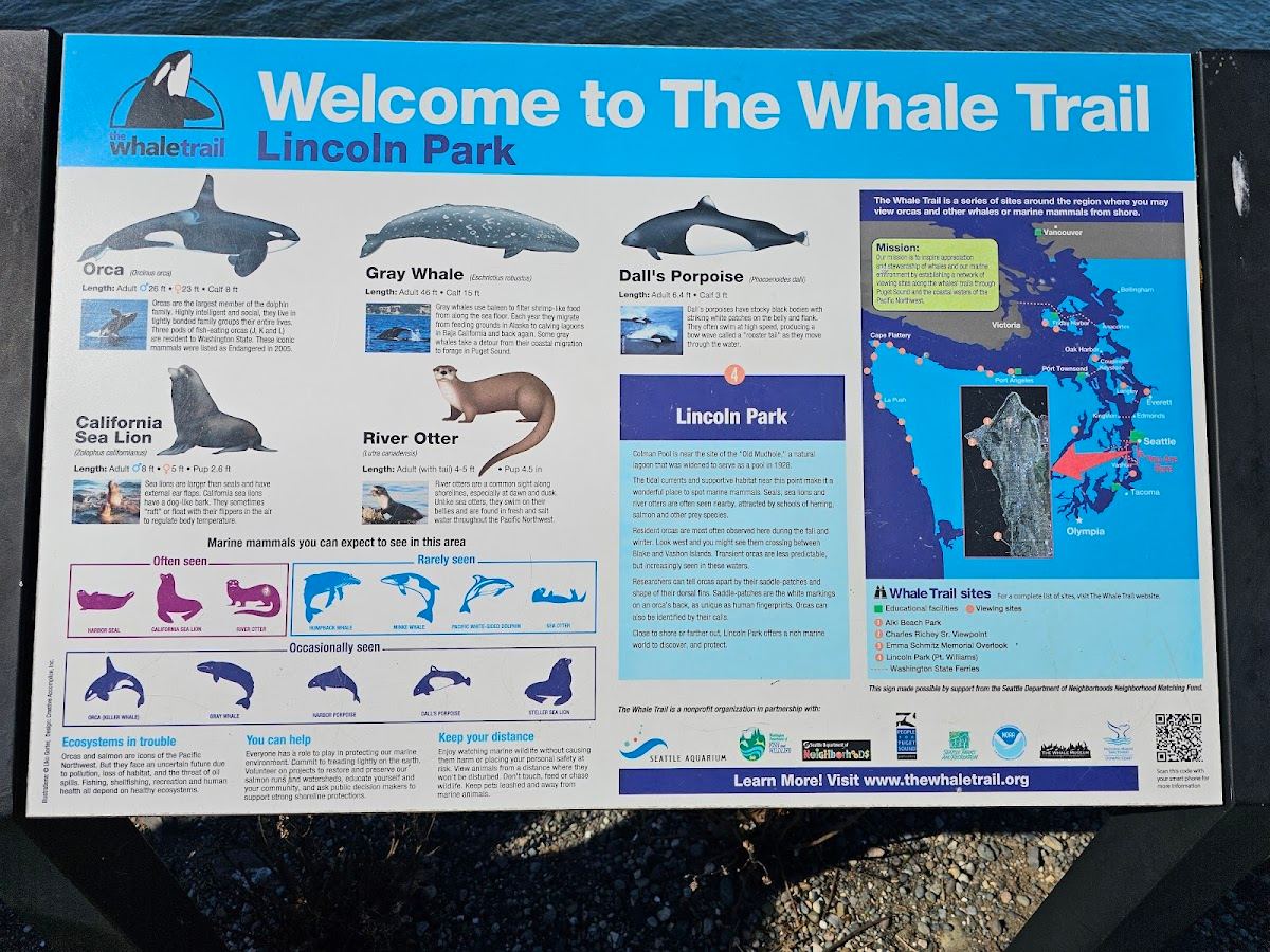 The Whale Trail