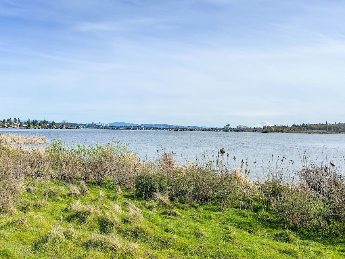 Union Bay Natural Area