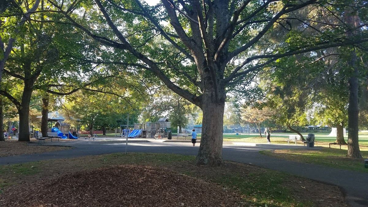 View Ridge Playfield Park