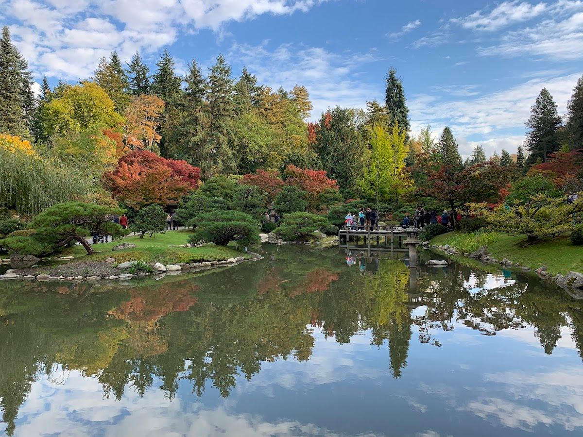 Washington Park Arboretum
