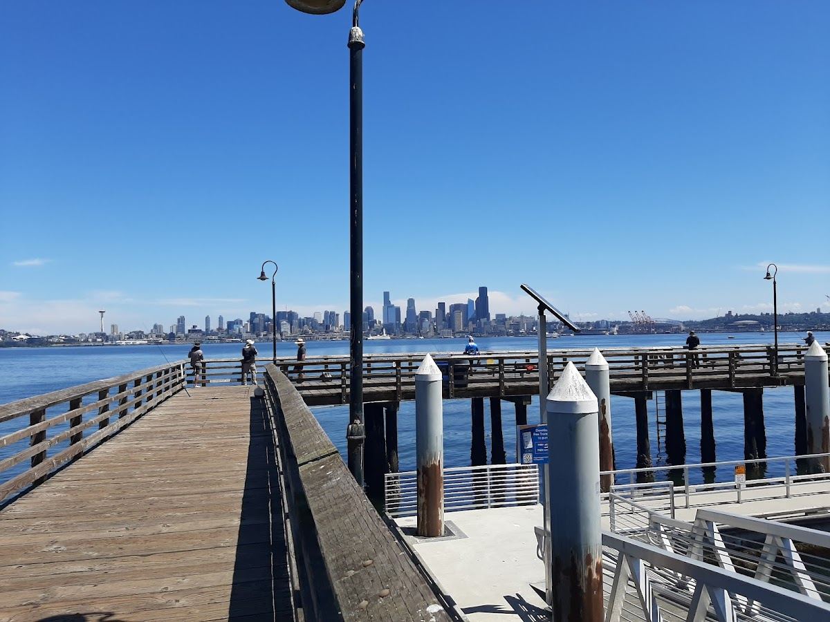 West Seattle Water Taxi Pier