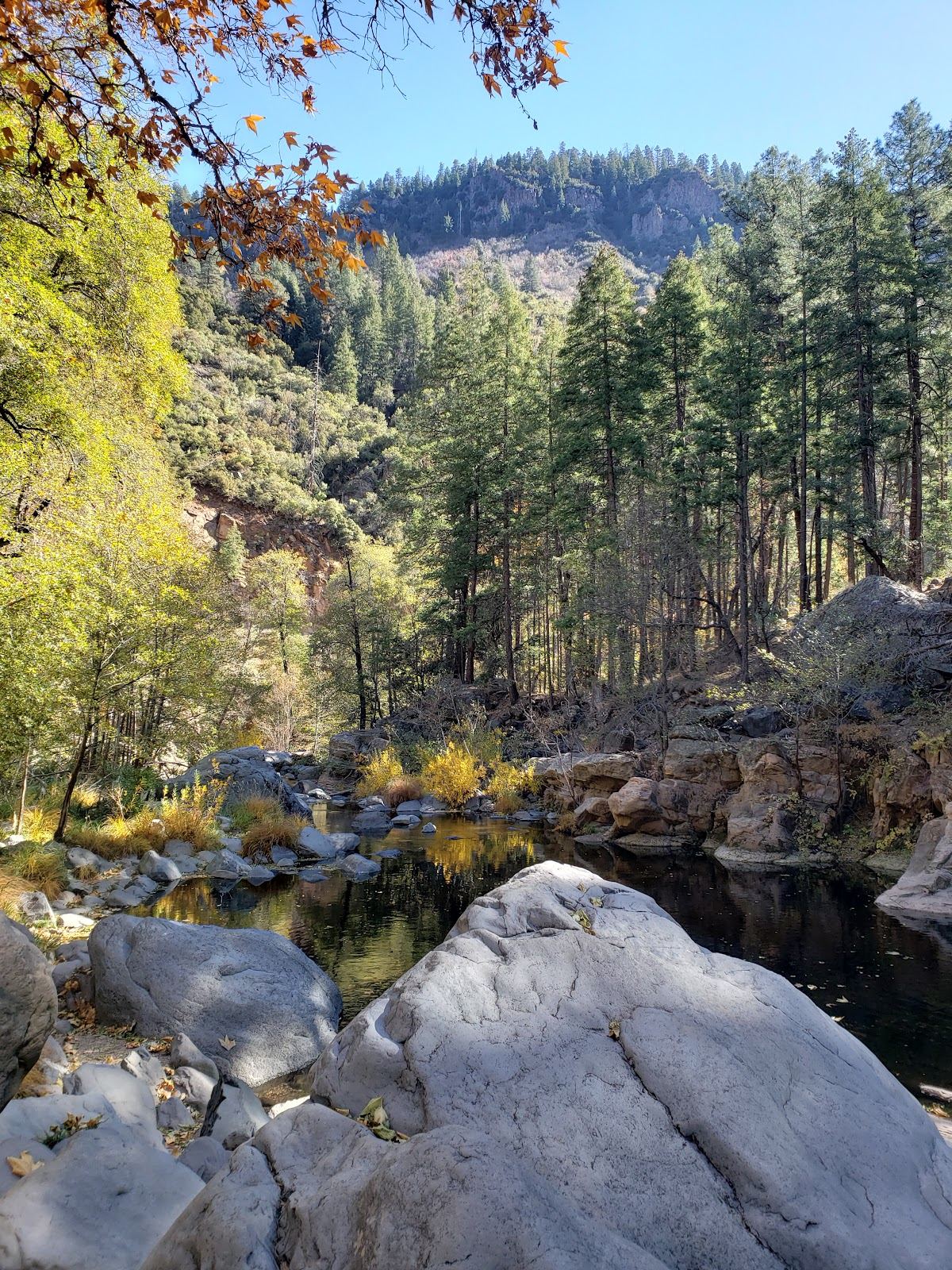 Bootlegger Picnic Area