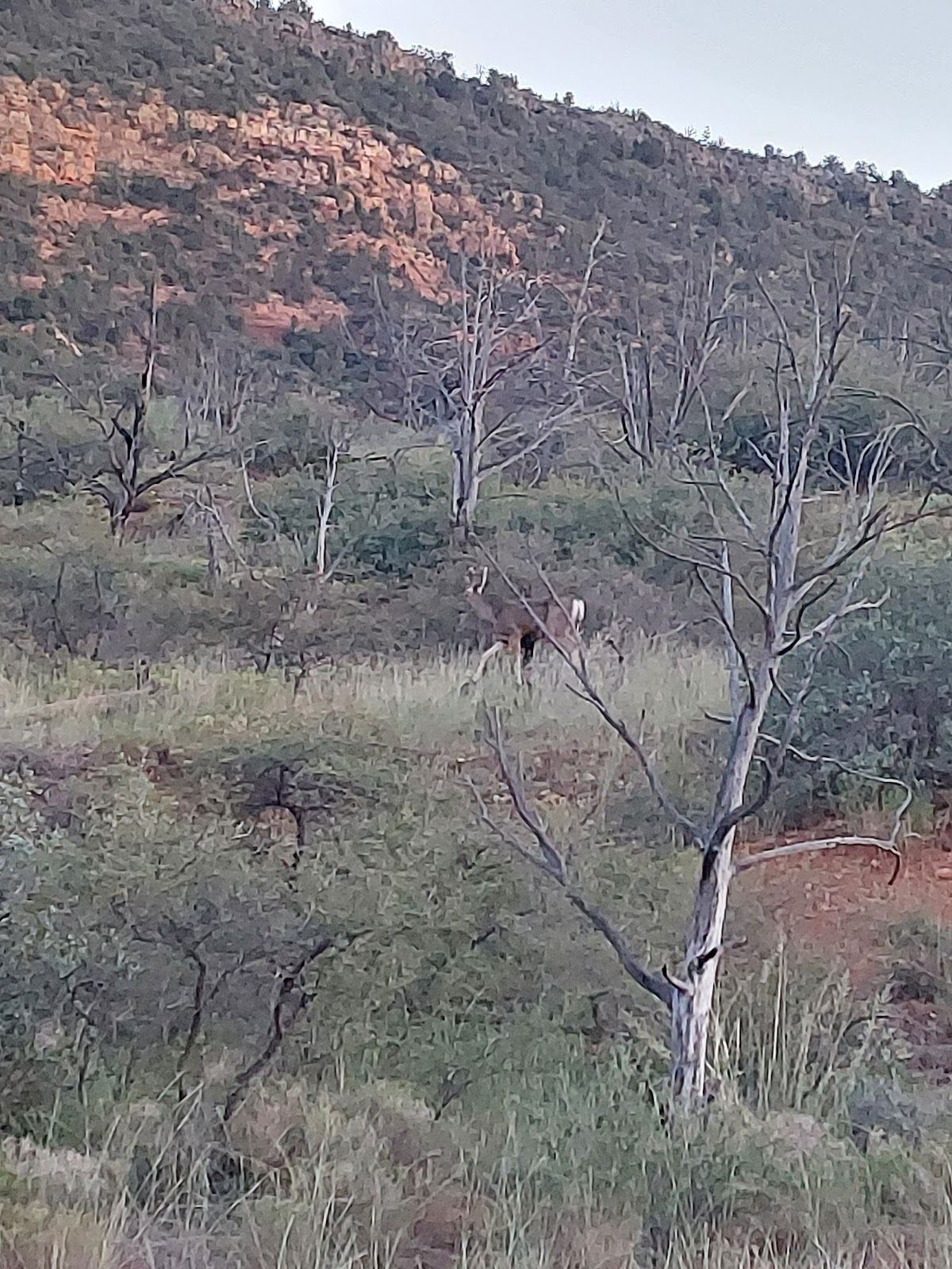Jacks Canyon