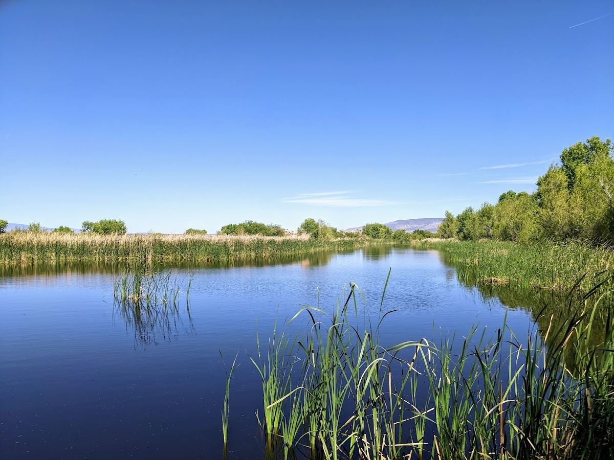 Sedona Wetlands Preserve