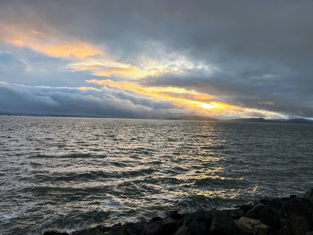 Berkeley Waterfront