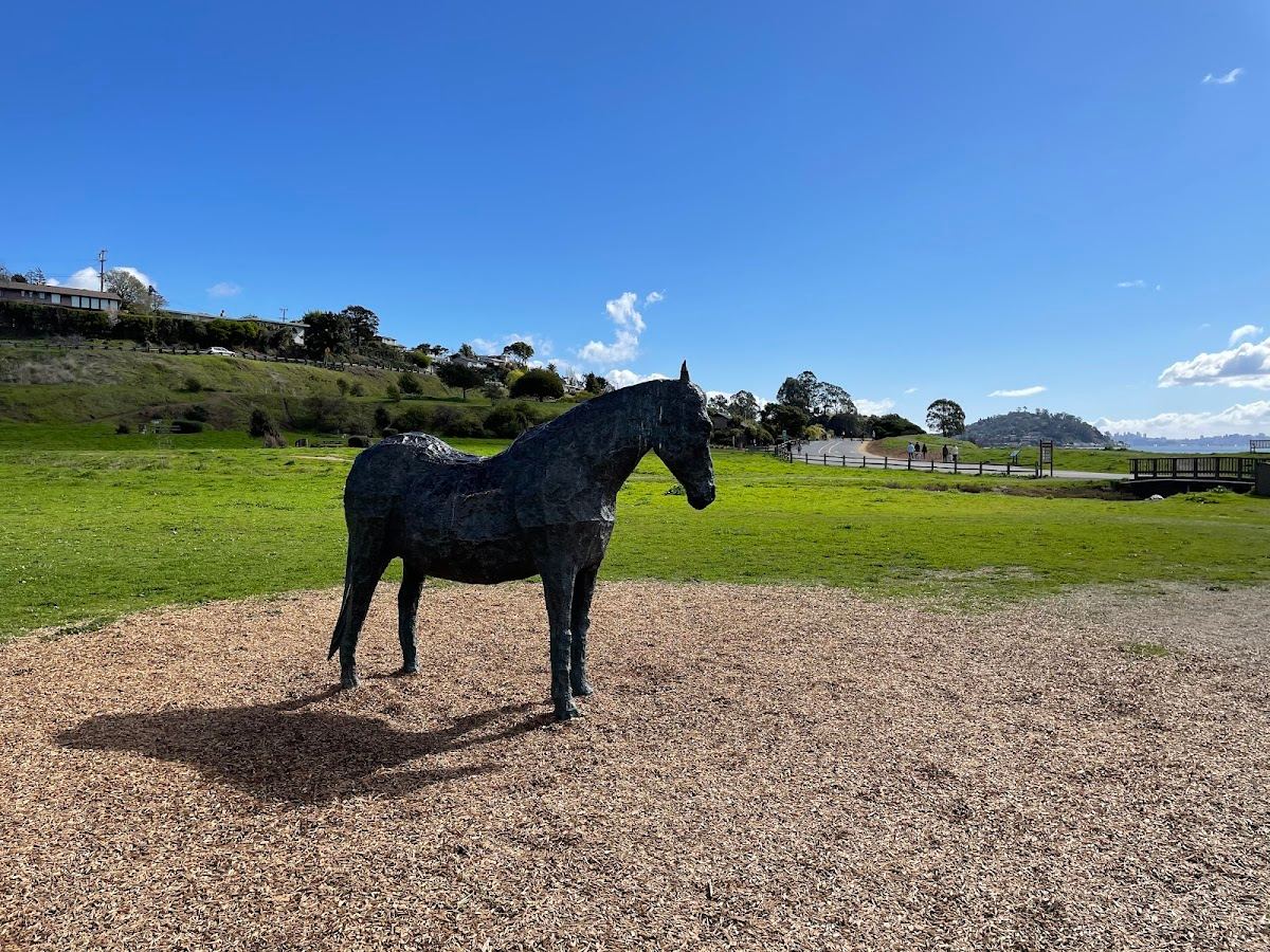 Blackie's Pasture