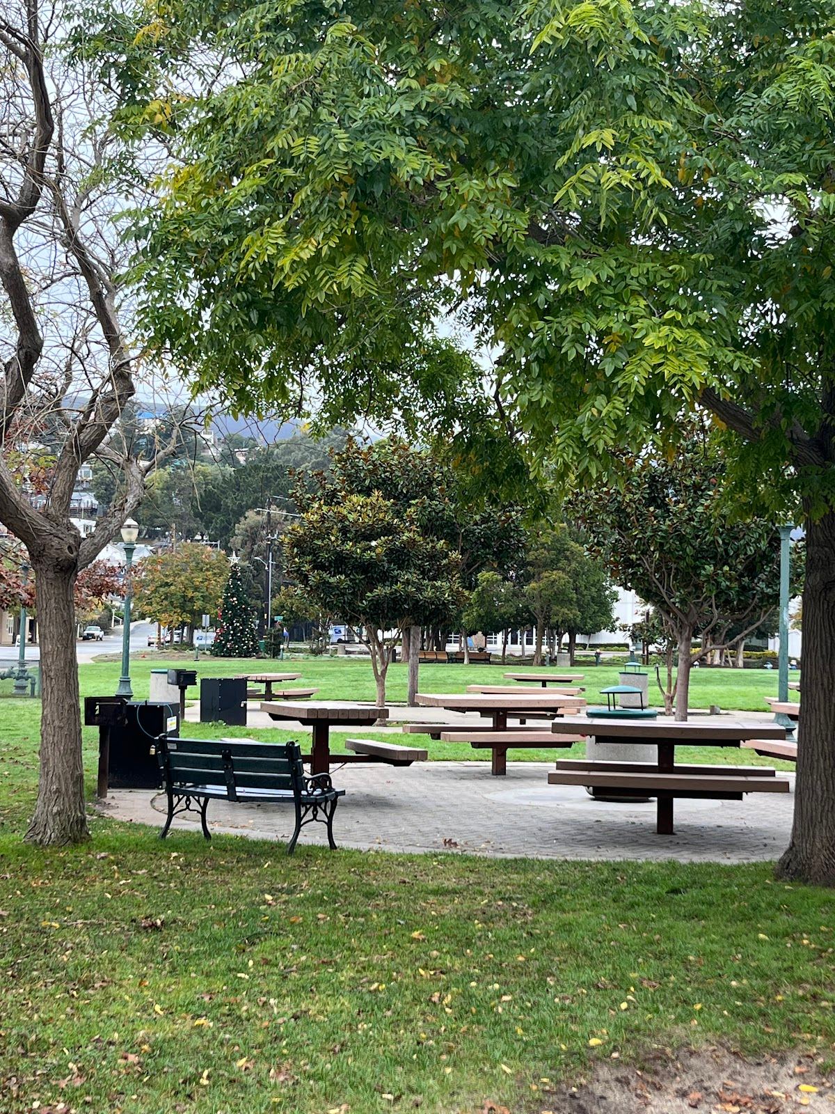 Brisbane Community Park