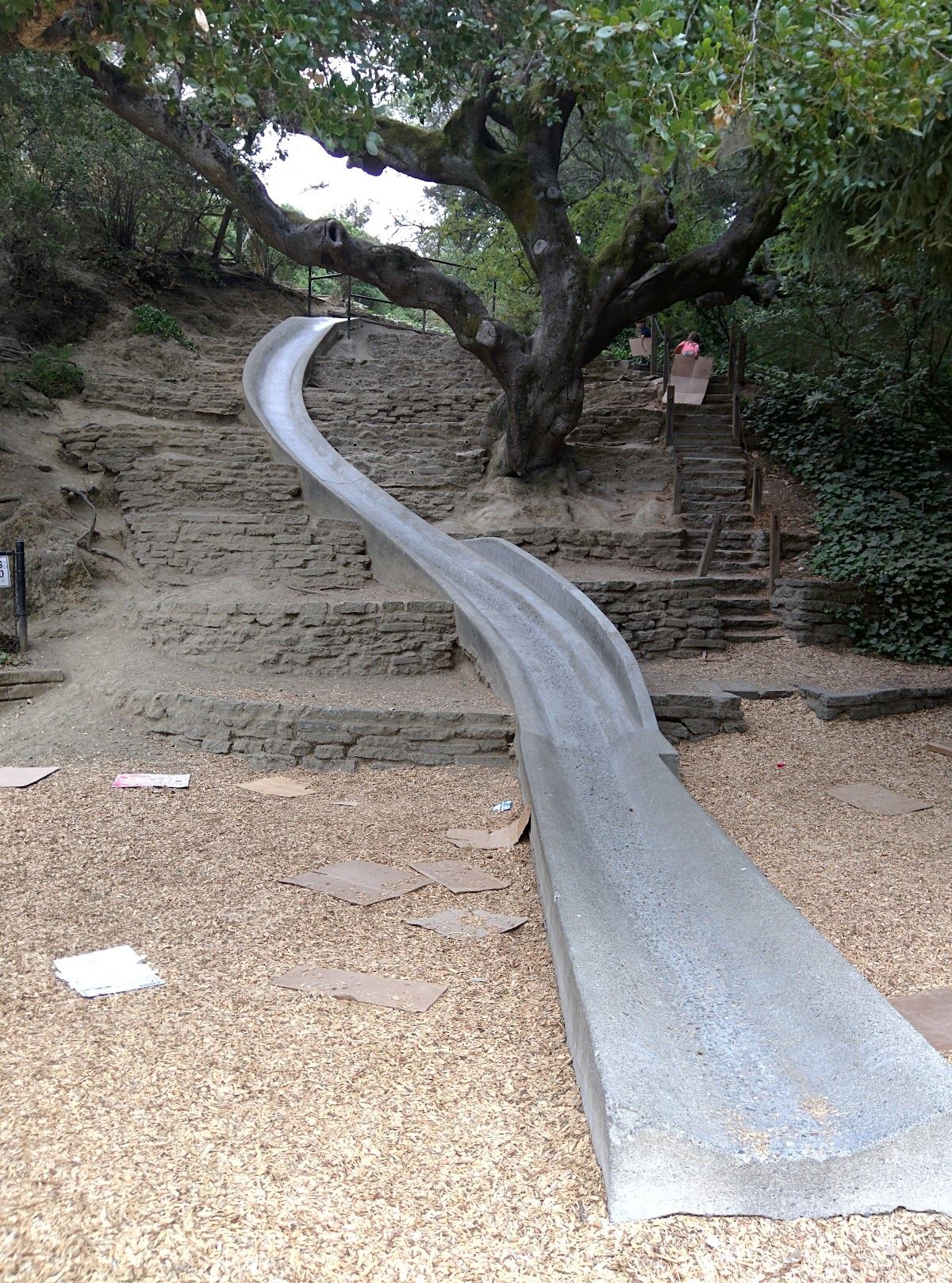 Codornices Park