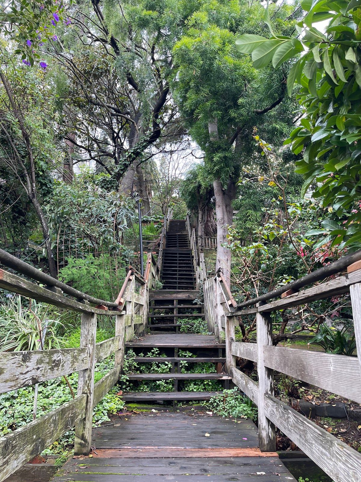 Filbert Steps