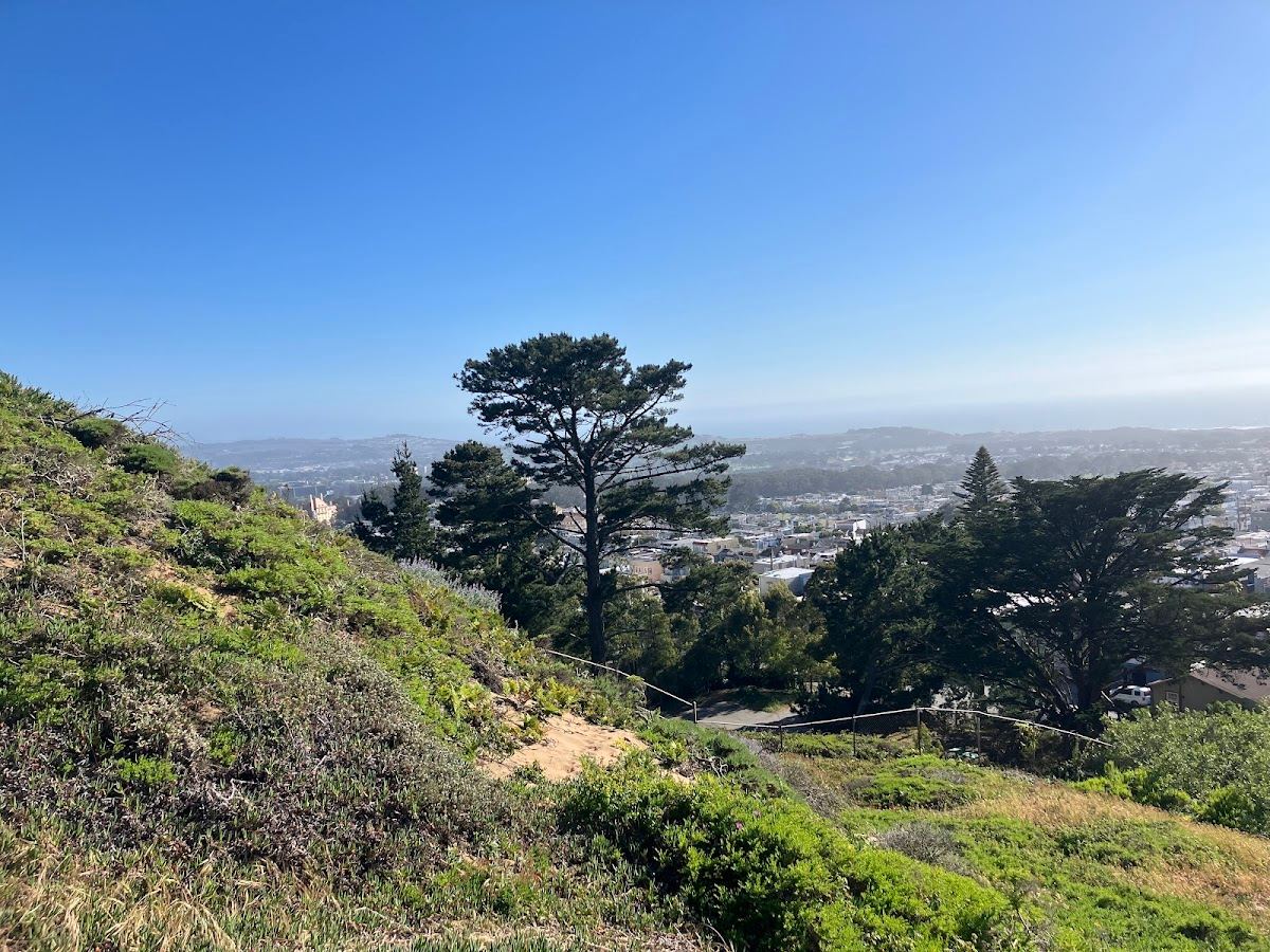 Hawk Hill