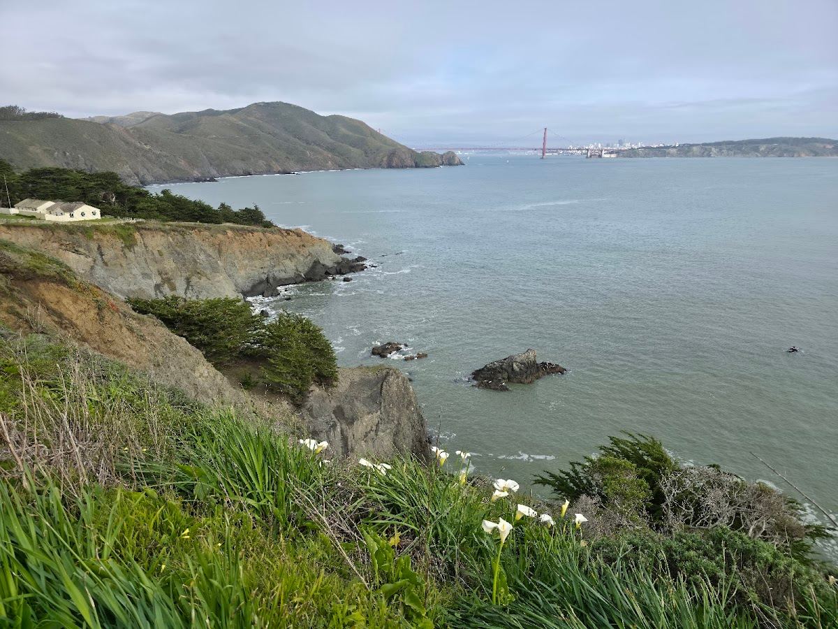 Marin Headlands