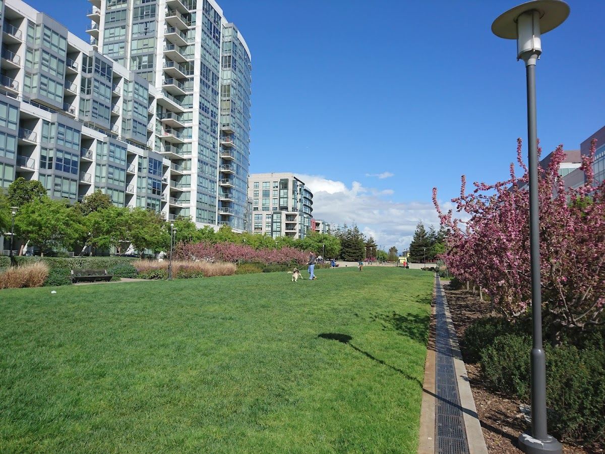 Mission Bay Commons Park